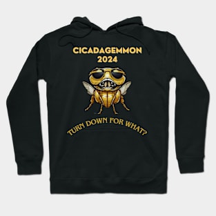Cicadagemmon 2024: Turn Down for What? Hoodie